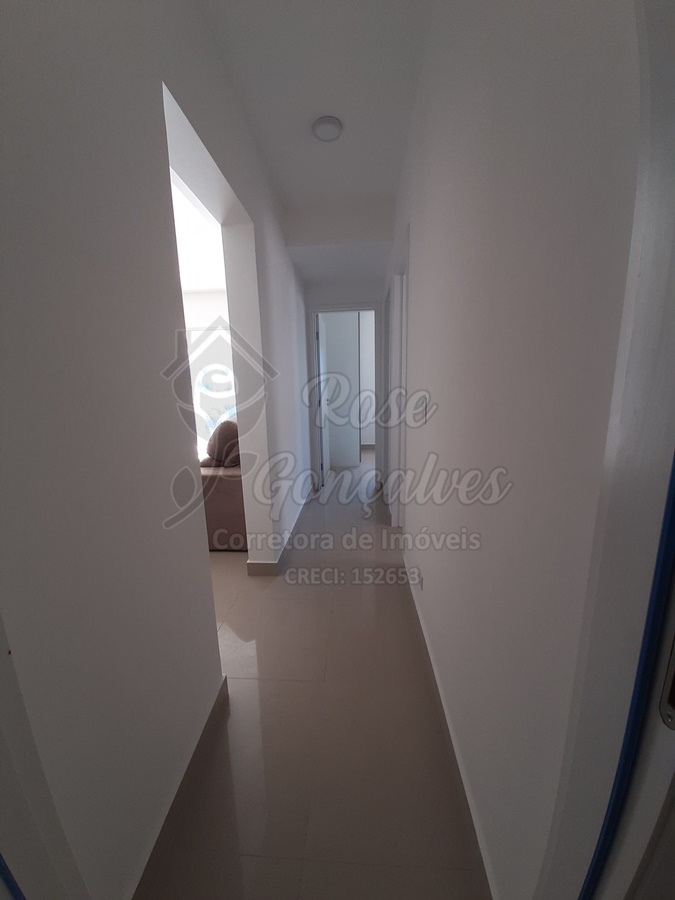 3 (11)