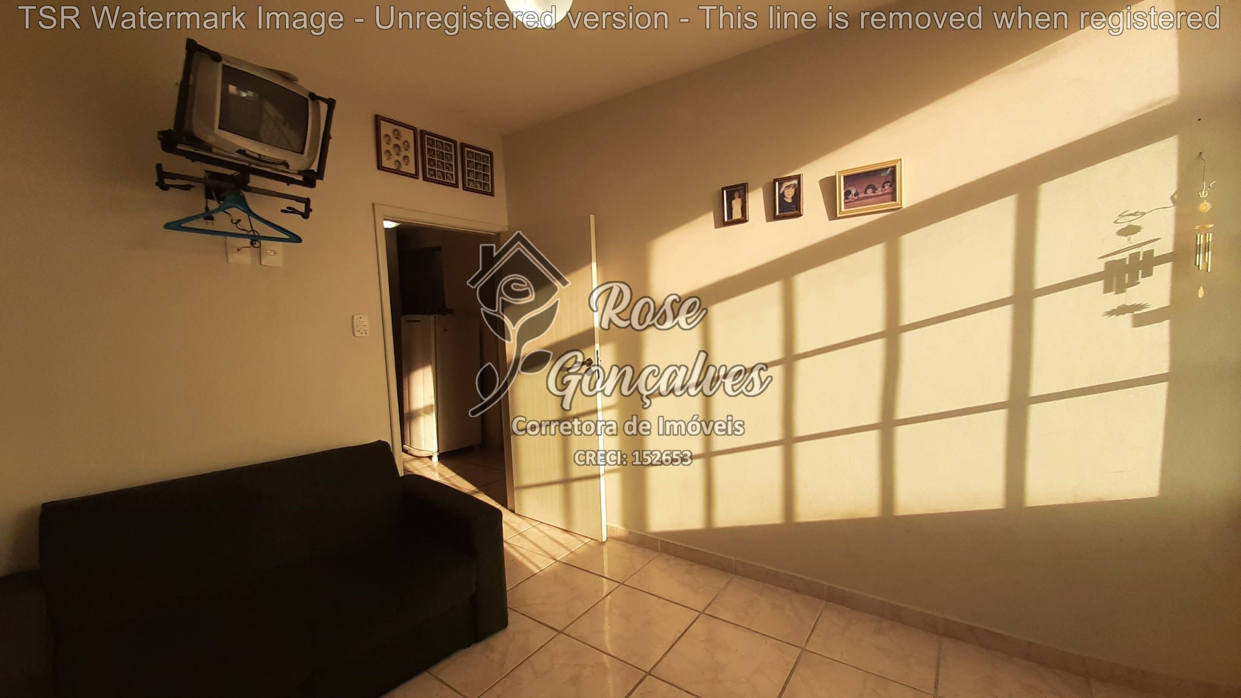 TSR Watermark - 88