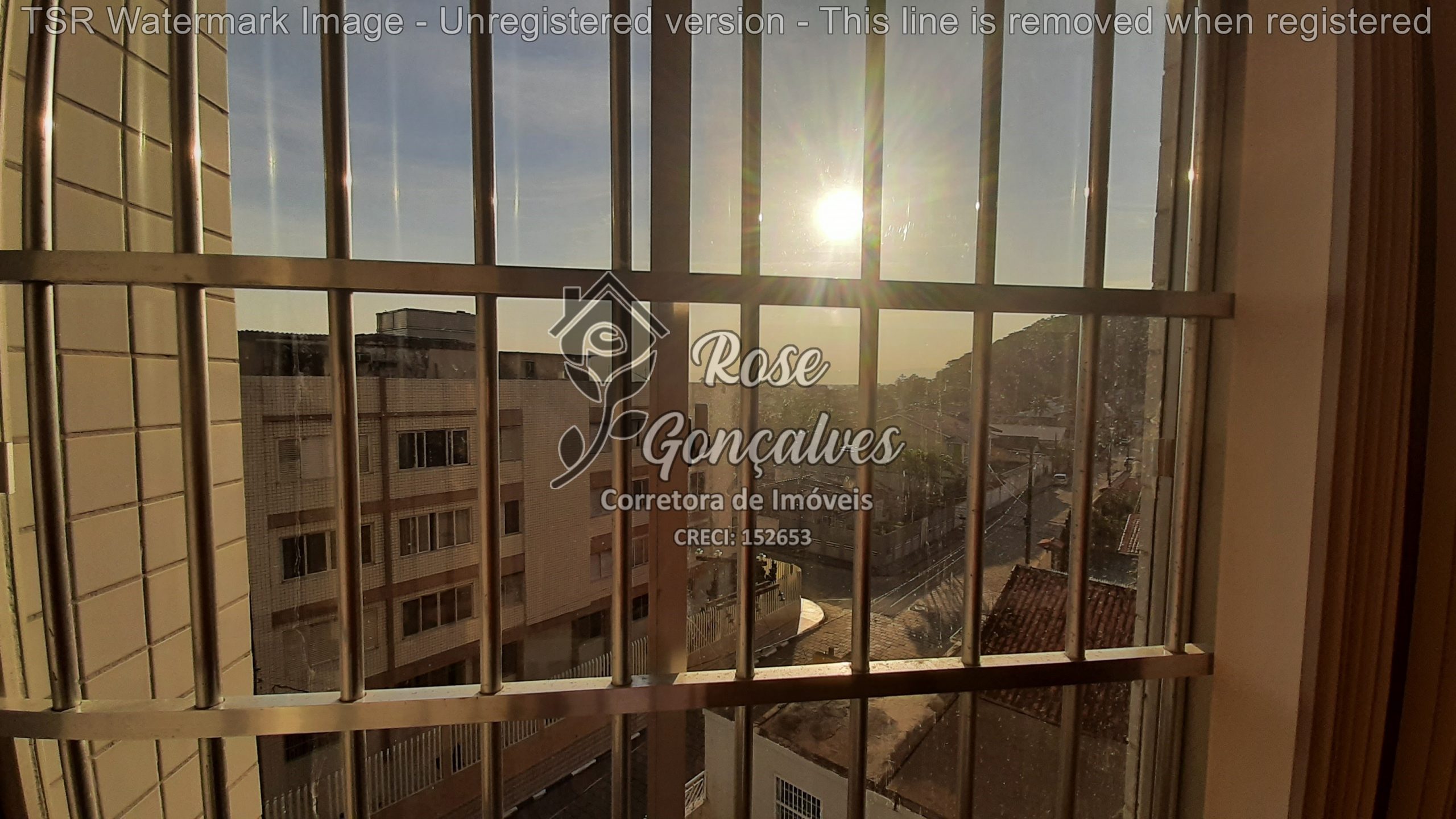 TSR Watermark - 92