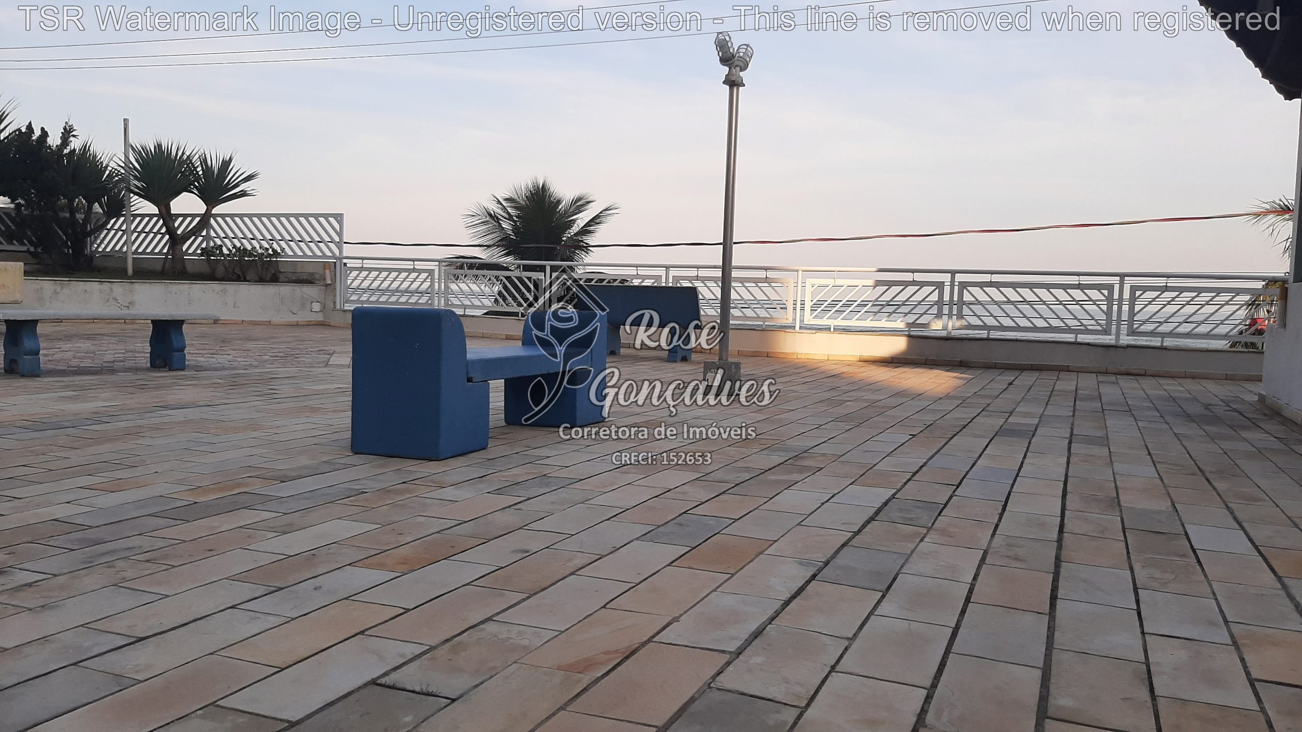 TSR Watermark - 99